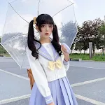 Long Sleeve Top With Skirt