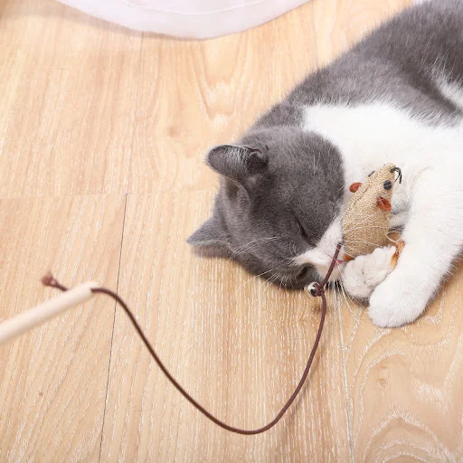 Title 1, Seven-Piece Set Of Funny Cat Stick Toys Self Hi...