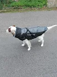 image - 2