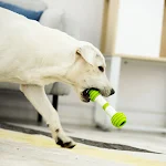 Guiwei Happy Bone Elektrisches automatisches Hundespielzeug Interaktives Spielzeug für Hunde Bewegung & Spaß für Ihren Vierbeiner Intelligentes Spielzeug — foto 4