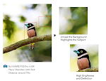 miniatures image - 2