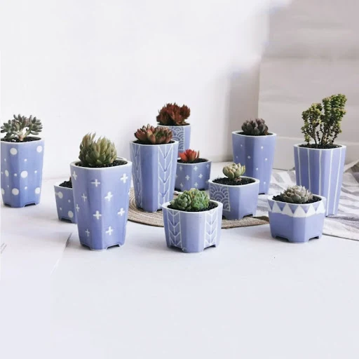 Title 5, Japanese Simple Square Hand-painted Succulent F...