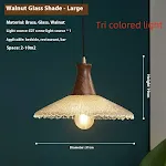 Large tricolor light