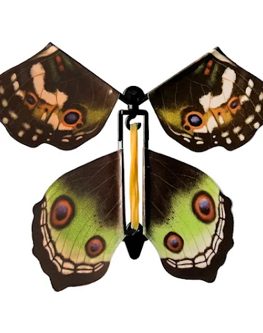 Image product - 3