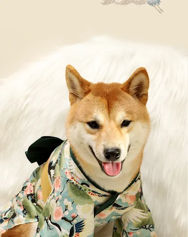 Image product - 0