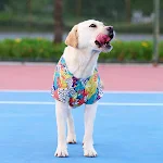 Summer Thin Hawaiian Shirt for Large Dogs, Teddy, Bichon, Pomeranian, Jarre, Aero Bull, Cat & Dog Pet Clothes, Lightweig — photo 5