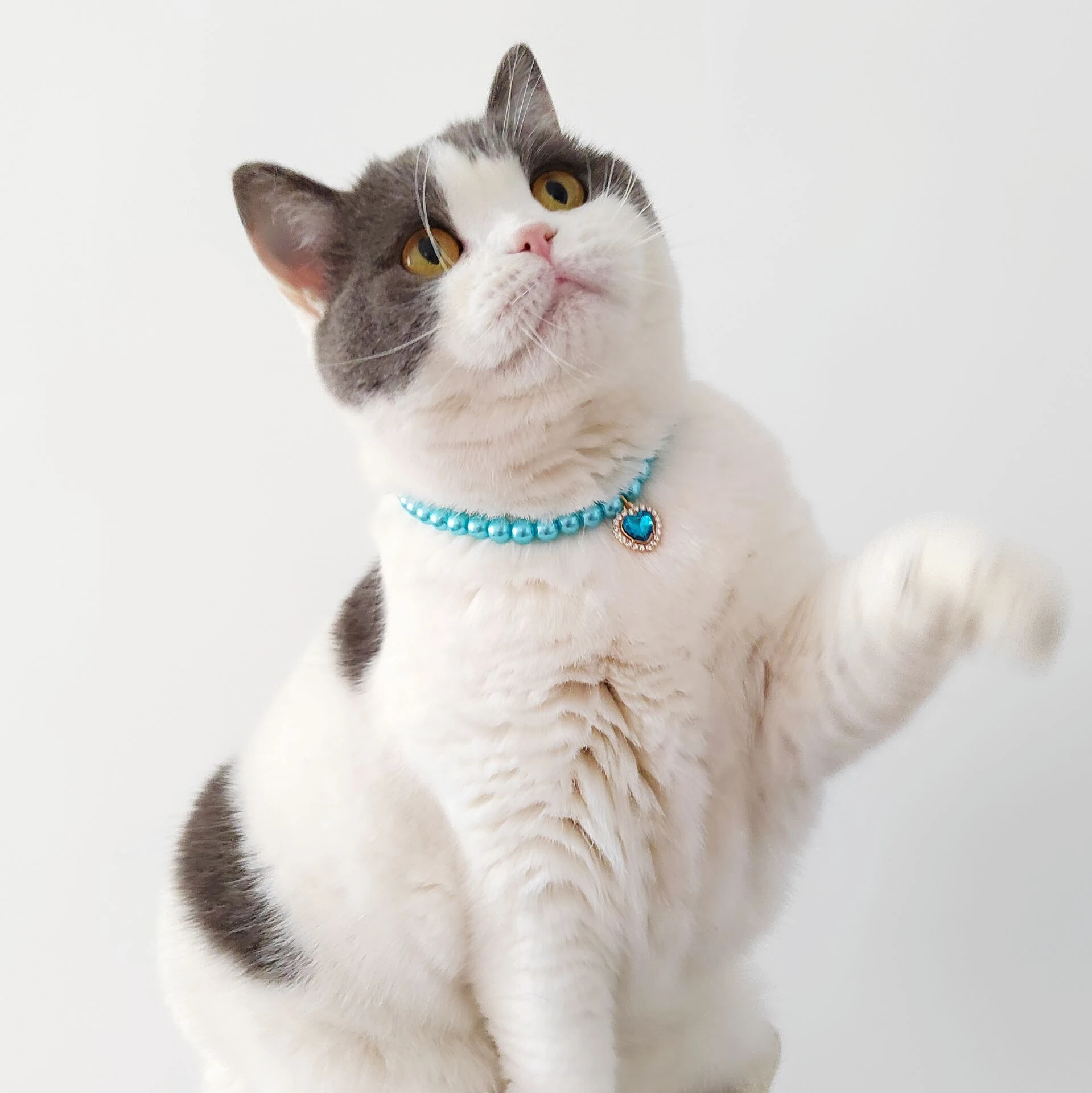 Pet necklace cat pearl pendant colorful gem, a stylish and safe accessory, perfect for your feline friend. — photo 2