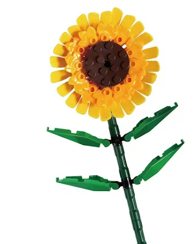 Image product - 0