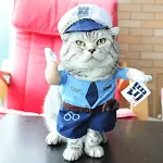 Traffic police