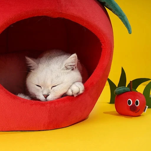 Title 4, Winter Warm and Comfortable Fully Enclosed Cat ...