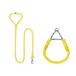 Yellow Silver