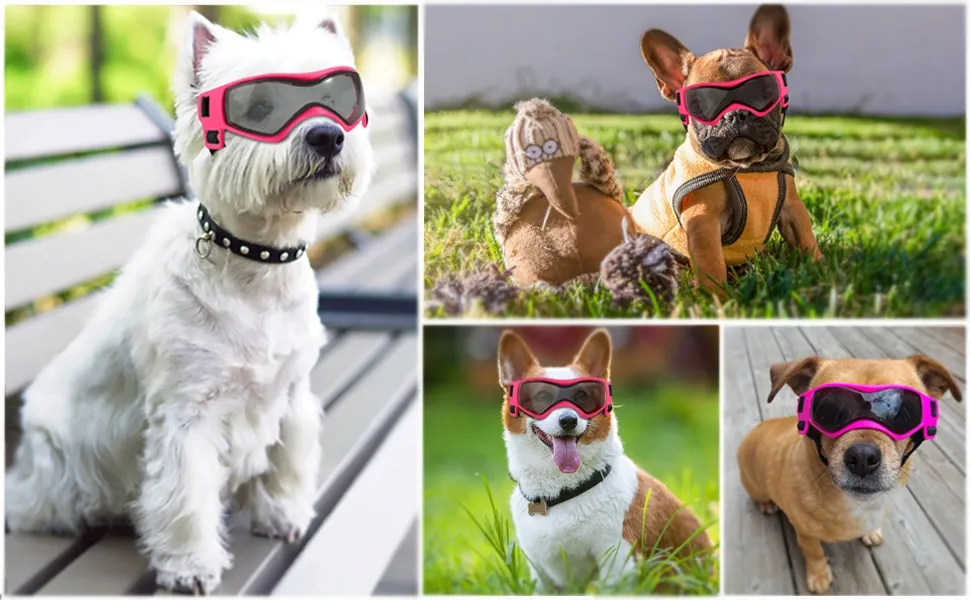 Title 4, S Dog Goggles Sunglasses for Small Breed UV Pro...