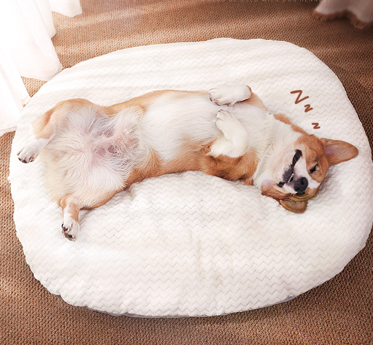 Title 2, Dog Mat Sleeping Pad Pet Floor Provides Comfort...