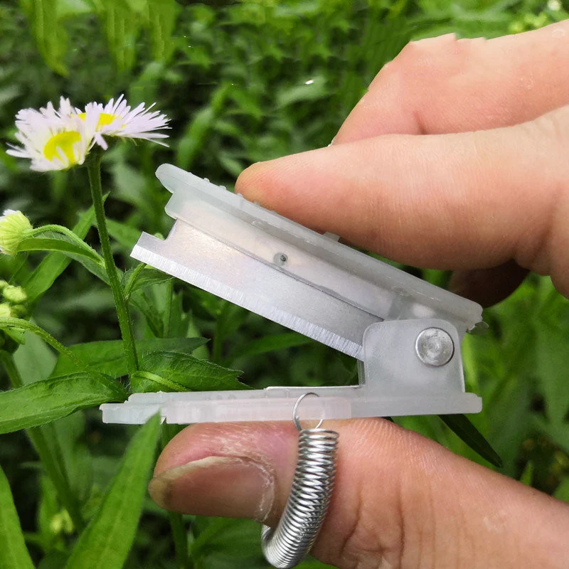 Title 2, Pinch Knife Fruit Thinning Artifact