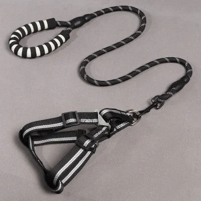 Title 6, Dog Leash and Chest Harness Combo, Comfortable ...