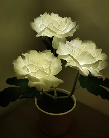 Image product - 1