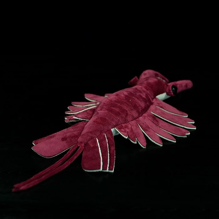 product image - 5