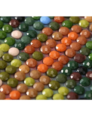 Image product - 3