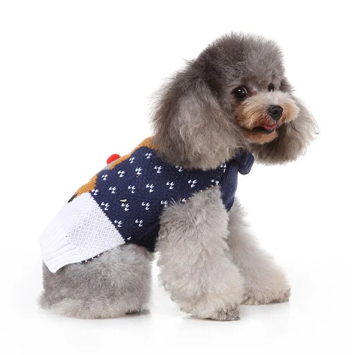 Title 2, Fashion Printed Dog Sweater, a warm and stylish...