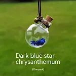 Dark Blue Chrysanthemum