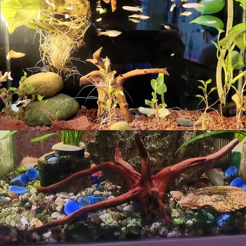 Title 10, 1PC Natural Driftwood Tree Trunk Micro Landscap...