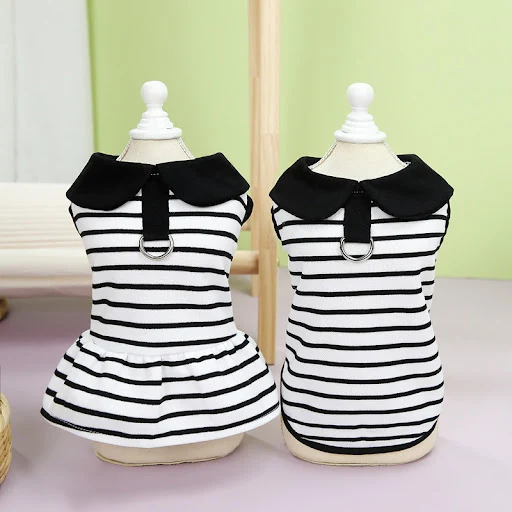 Title 6, Pet Summer Stripes T-shirt Skirt – Keep your pe...