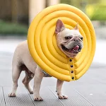 Pet Creative Summer Swimming Anti Licking and Biting Protection Ring Keeps Your Pet Safe and Comfortable While Enjoying — photo 11