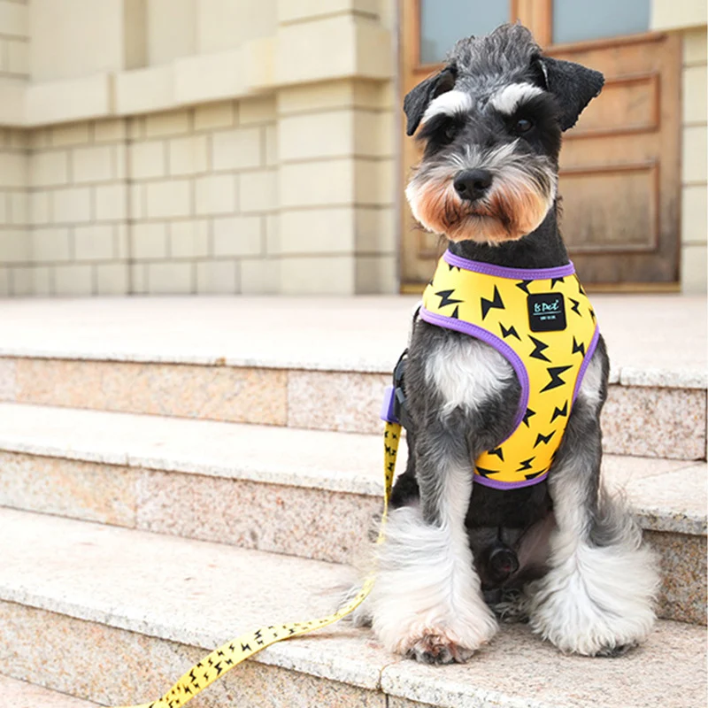 Title 6, Dog Belt Outing Vest-style Harness for comforta...