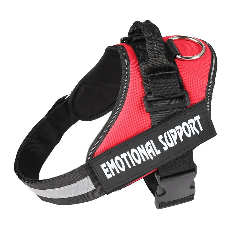 Title 3, Dog chest strap lead for ultimate control and c...