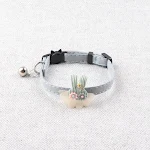 miniatures image - 0