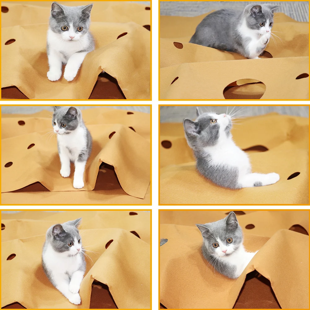 Title 4, Pet cat litter pad toy. Traps scattered litter,...