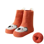 Orange koala