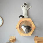 miniatures image - 0