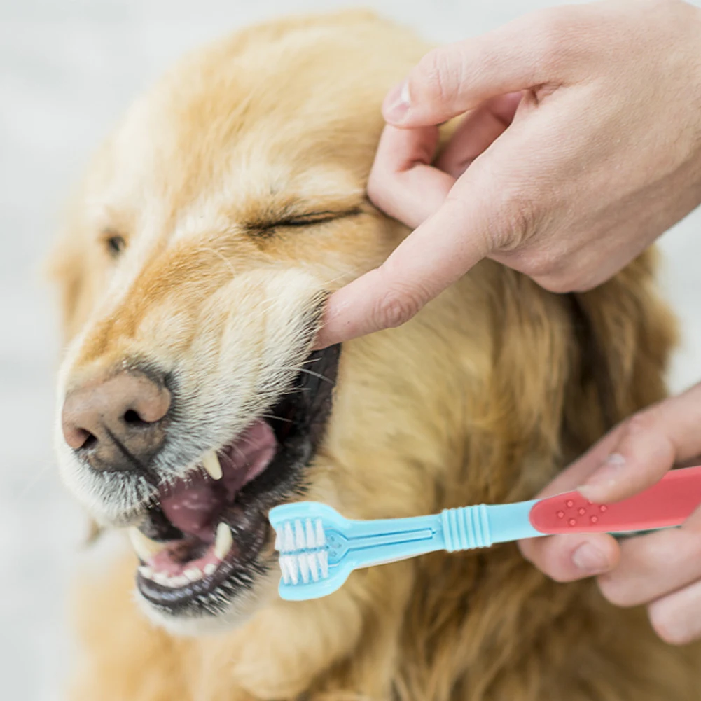 Title 25, Three Sided Pet Toothbrush Three-Head Multi-ang...