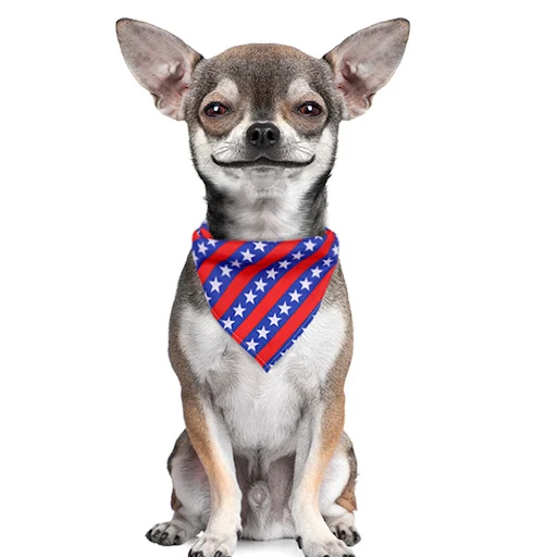 1Pcs American Independence Day Bandanas For Dog Pet Cat Bandanas Scarf Pet Dog Supplies Daily Dogs Puppy Bibs Dog Mini S — photo 1