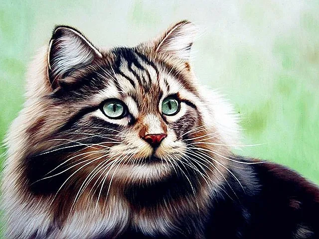 product image - 20