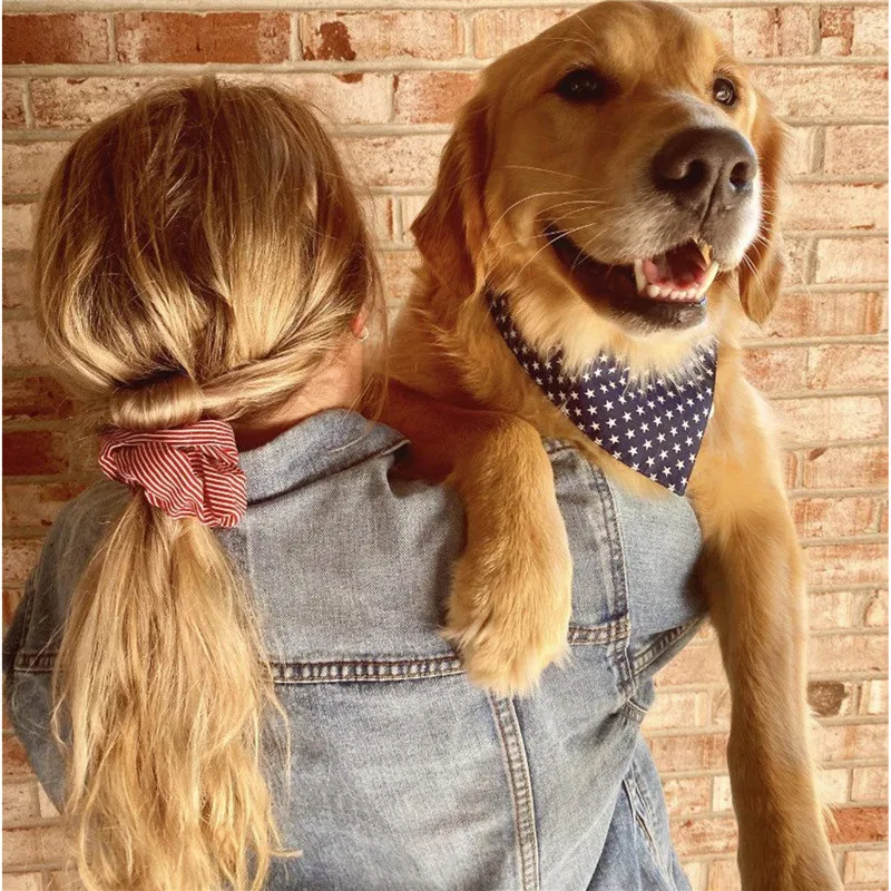 Pet triangle collar, owner's hair tie, and headdress, a coordinated set providing a stylish look for pet owners and thei — photo 6