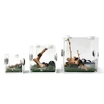 miniatures image - 1