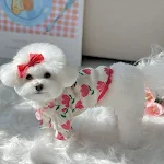 miniatures image - 8