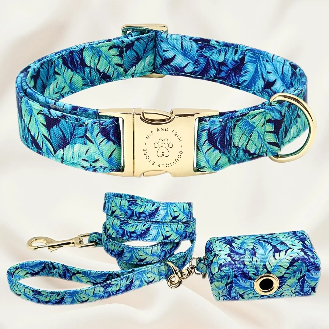 Custom Dog Collar with Lettering and Identity Card. Keep your dog safe and easily identifiable with a personalized and s — photo 12