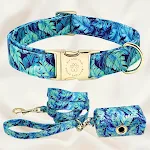 Custom Dog Collar with Lettering and Identity Card. Keep your dog safe and easily identifiable with a personalized and s — photo 12