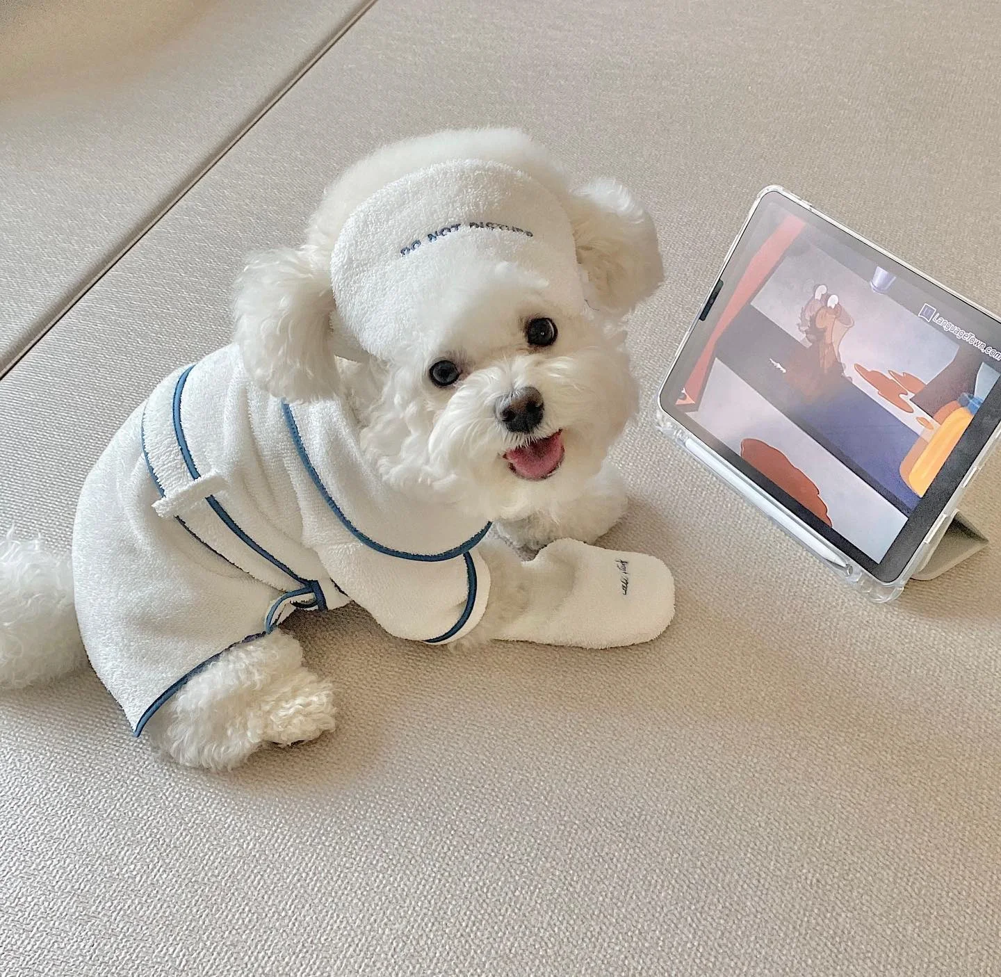 Title 3, INS Wind Hotel Pet Bathrobe Photo Props Pajamas...