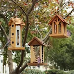 miniatures image - 10