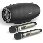 Black Dual Microphone