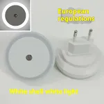 Style 11 European Standard