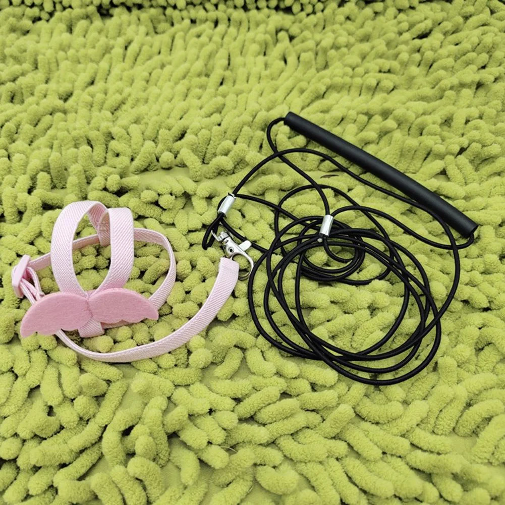 Title 13, Ultra-light Parrot Bird Flying Traction Rope St...