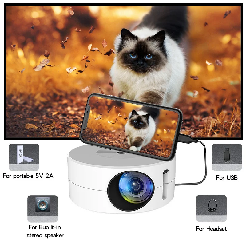 product image - 13