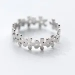 Sliver