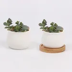 Small round