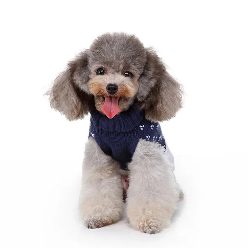 Title 4, Fashion Printed Dog Sweater, a warm and stylish...